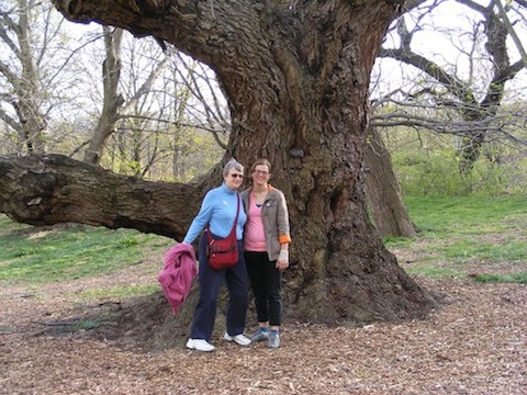 Gail and CJ stand in front of gnarly old 
           tree.