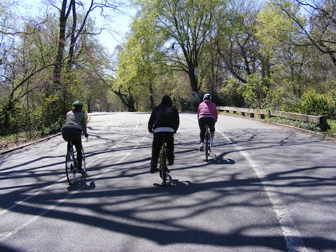 The three bicyclists are
          riding away from the camera on a paved street. There
          are trees on both sides of the road.