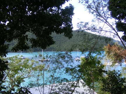 Through the limbs of
              trees the blue water of the bay is seen with five
              large boats moored there.