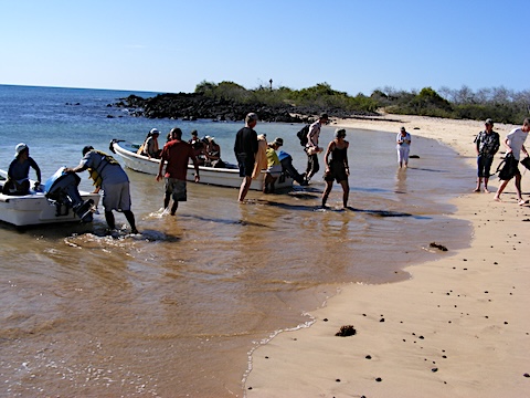 Two pangas are backed up to the beach
           and passengers and crew are wading ashore