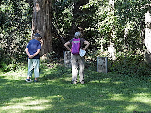 Maija and Gail have their backs to the camera as they look at
               gravestones in the Token Creek Conservancy