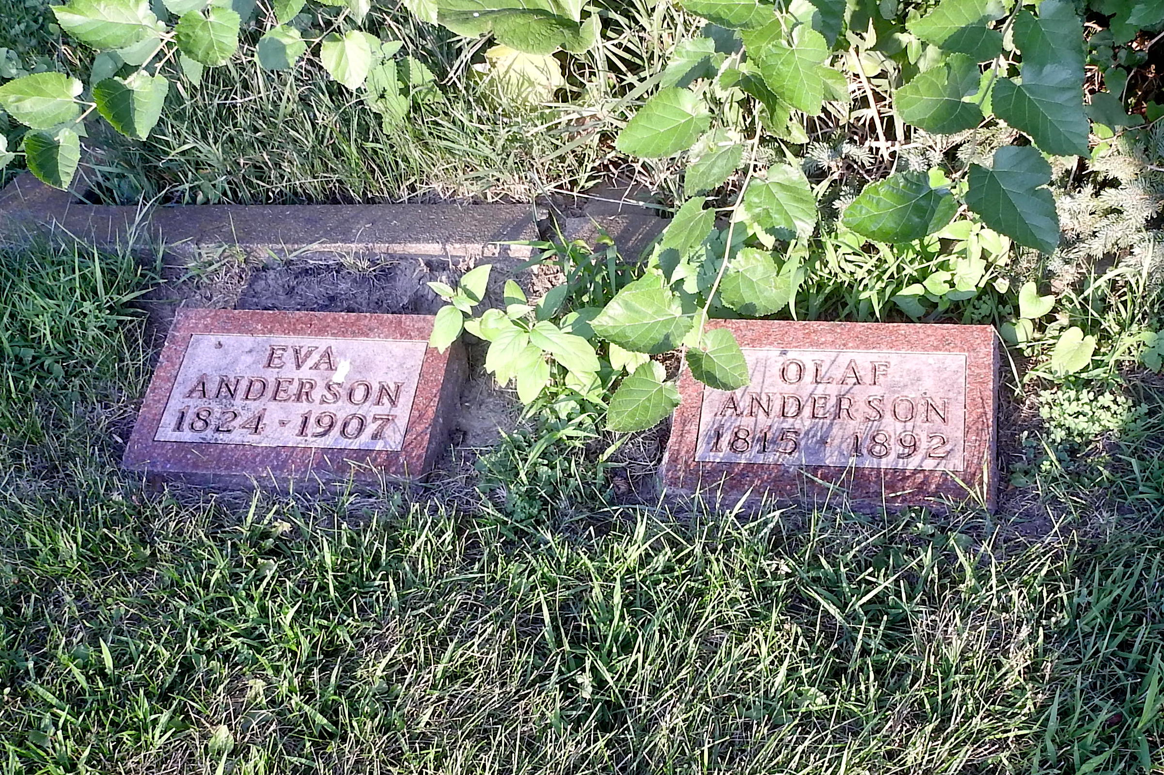 Eva 1824-1907 and Olof 1815-1892