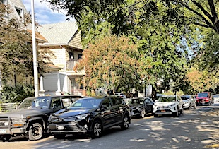 The cars are parked under trees