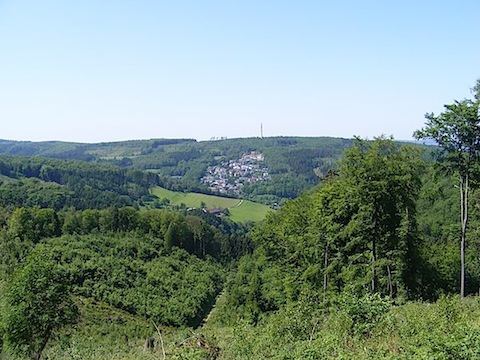 A Sauerland village is seen in a break in the trees across
            a mountain valley. In the valley between the village and the 
            camera is a field with farm buildings.