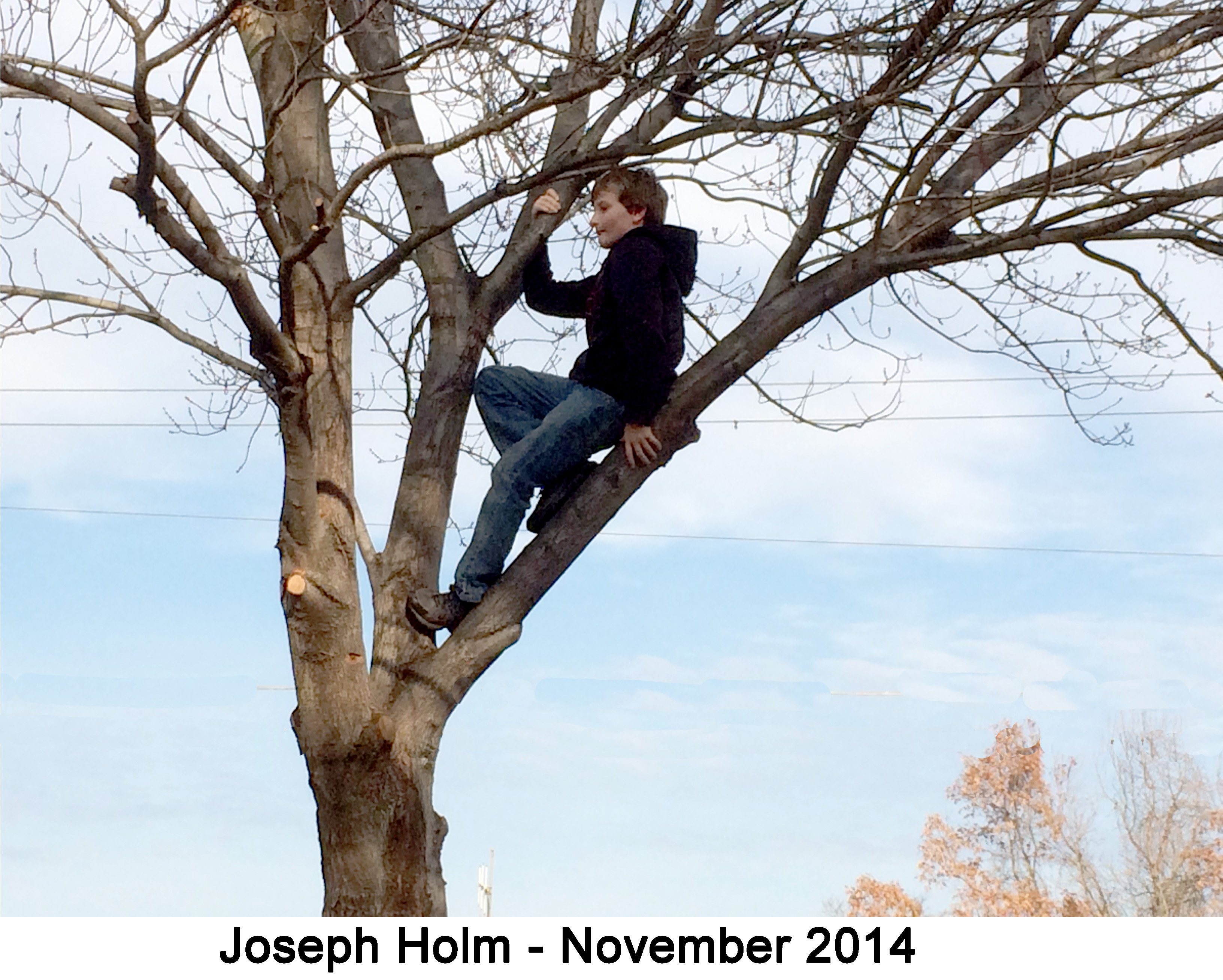 Joey Holm is perched in a leafless tree