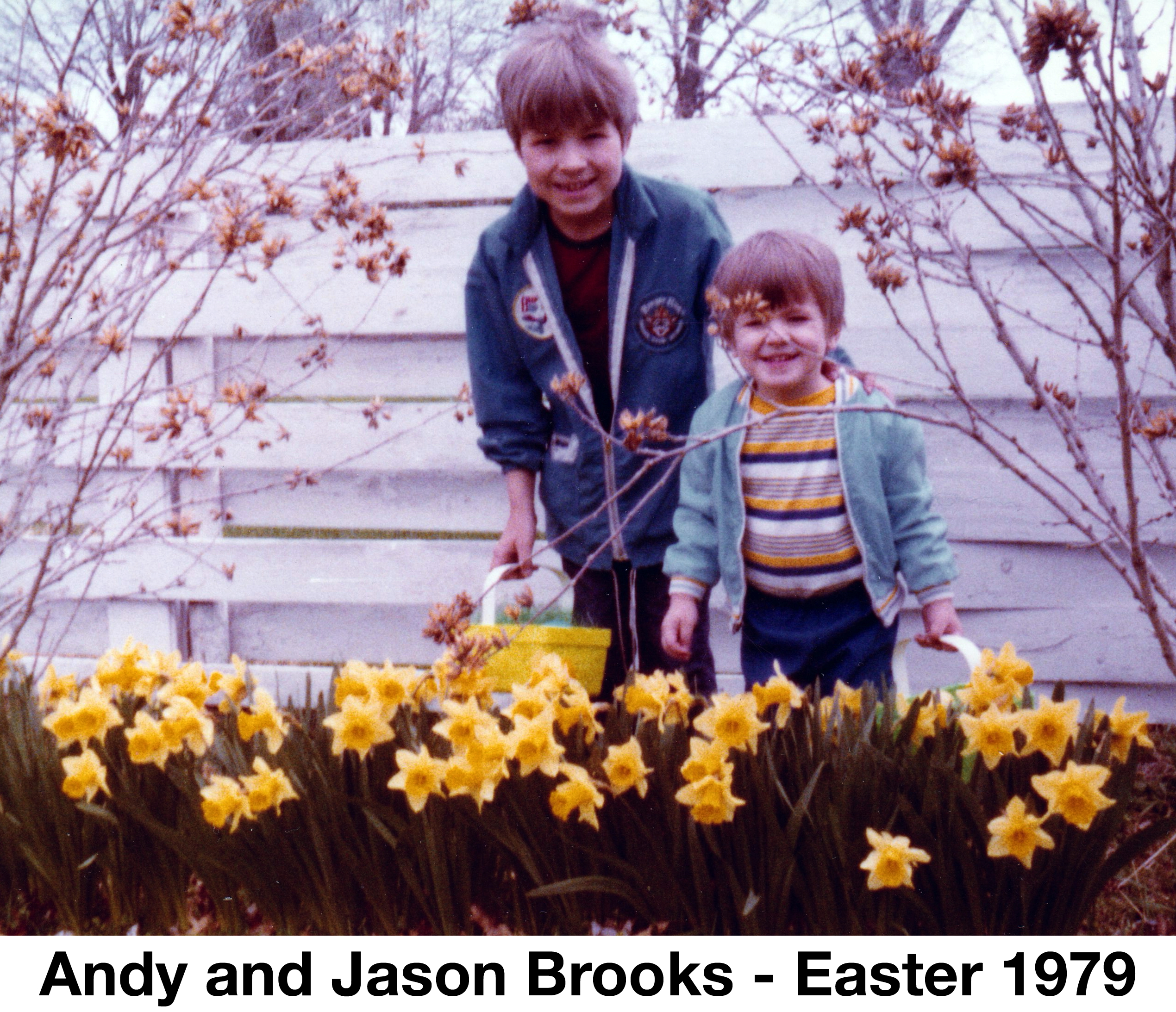 The two boys are standing in front of a white fence with 
       yellow jonquil flowers in front of them.