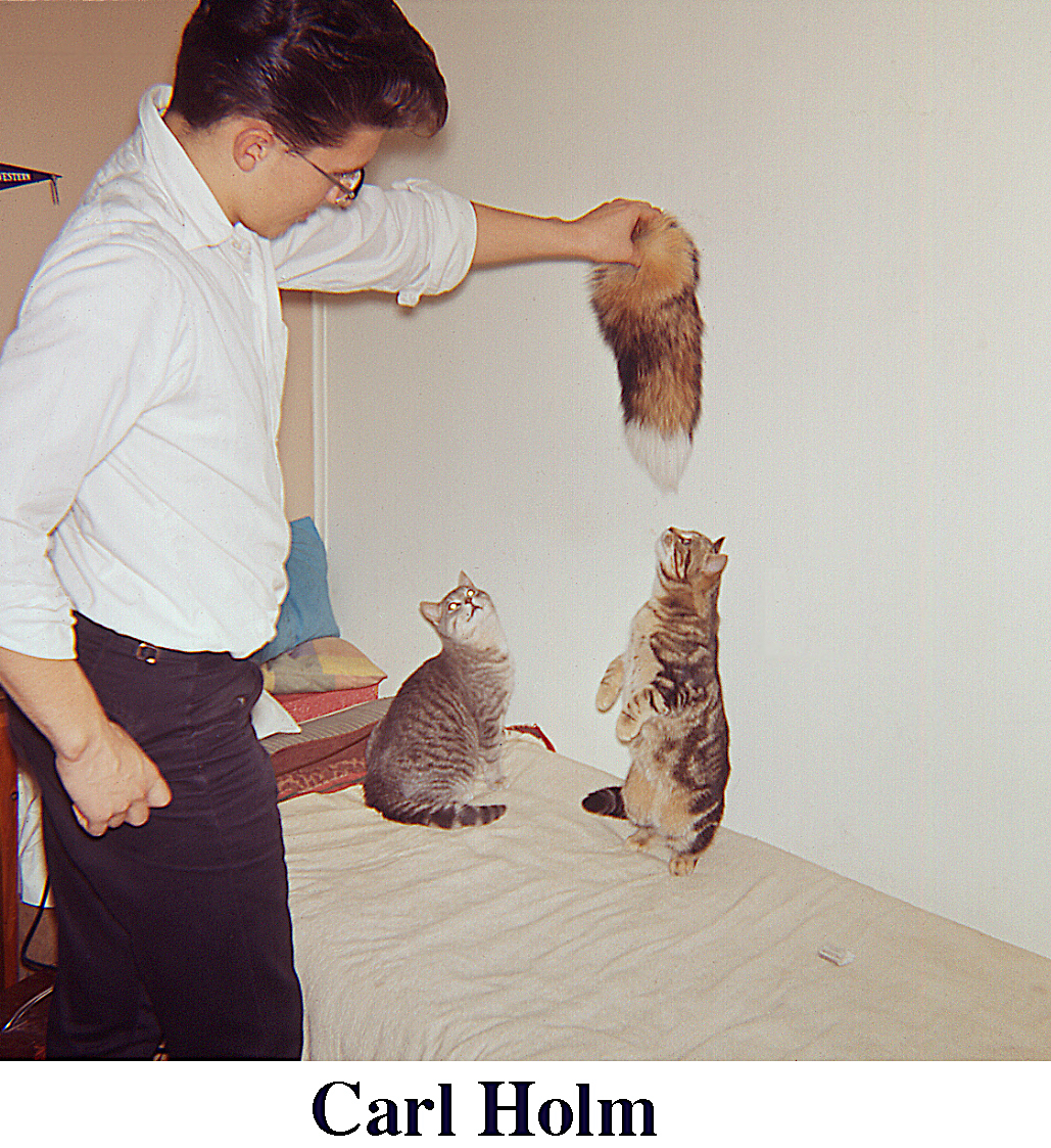 Carl David Holm playing with two cats