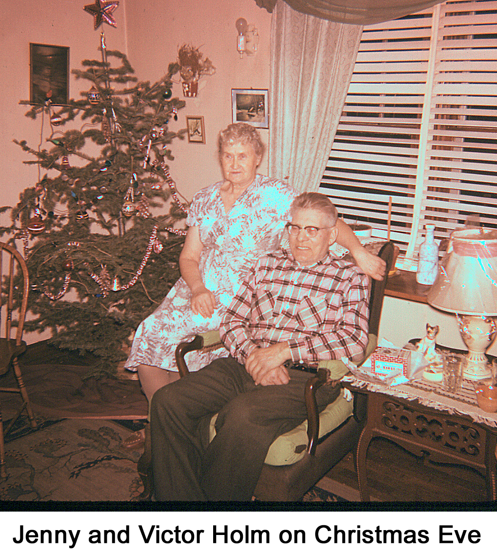 Jenny and Victor are seated near the Christmas tree in the southwest corner of thier living room