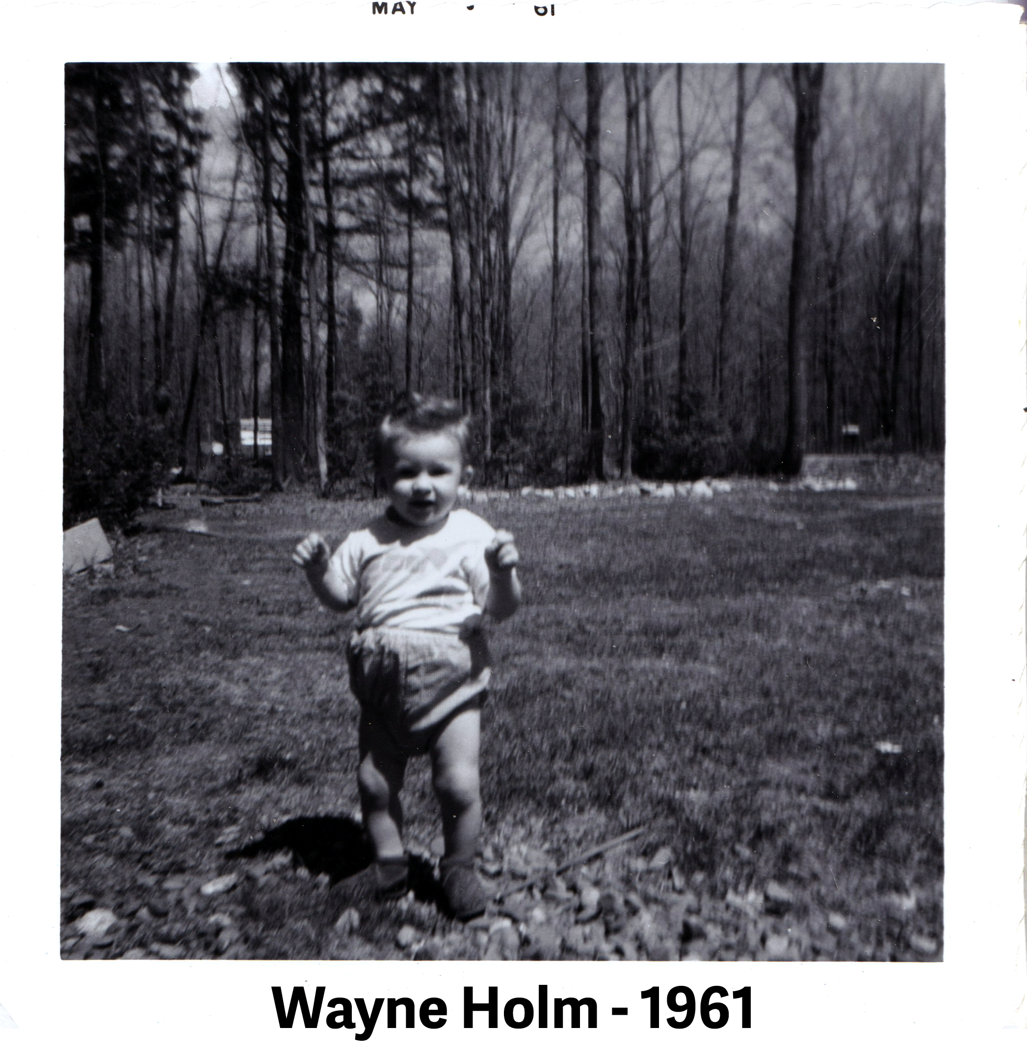 Wayne is standing in the front yard. The camera is looking north.