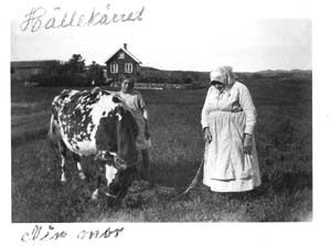 Adela Olafsson standing in a field with her granddaughter and a cow.           The house is in the background.