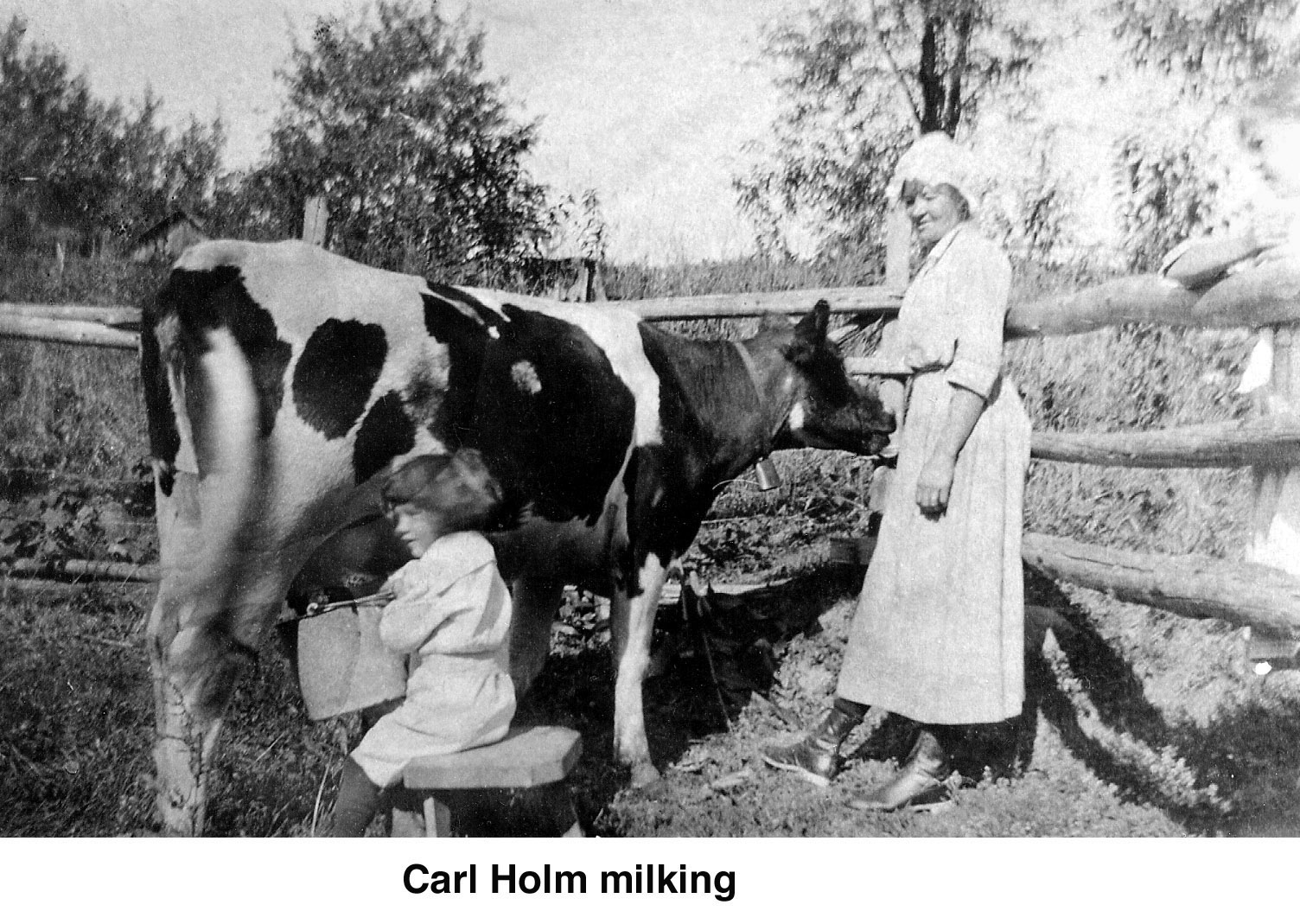 Carl Holm milking