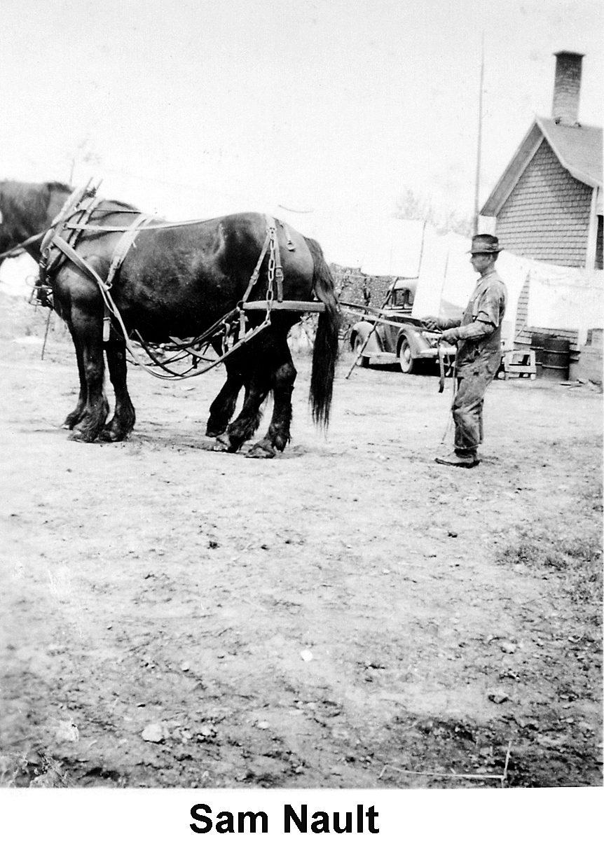 Sam Nault with  his team of horses