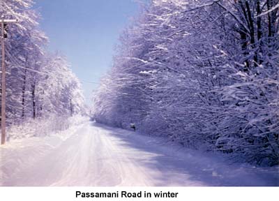 Looking down Passamani Road with snow