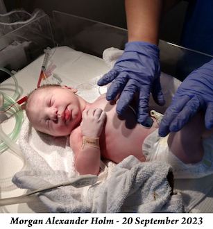 Newborn Morgan lies on a pad while a pair of gloved hands check him out