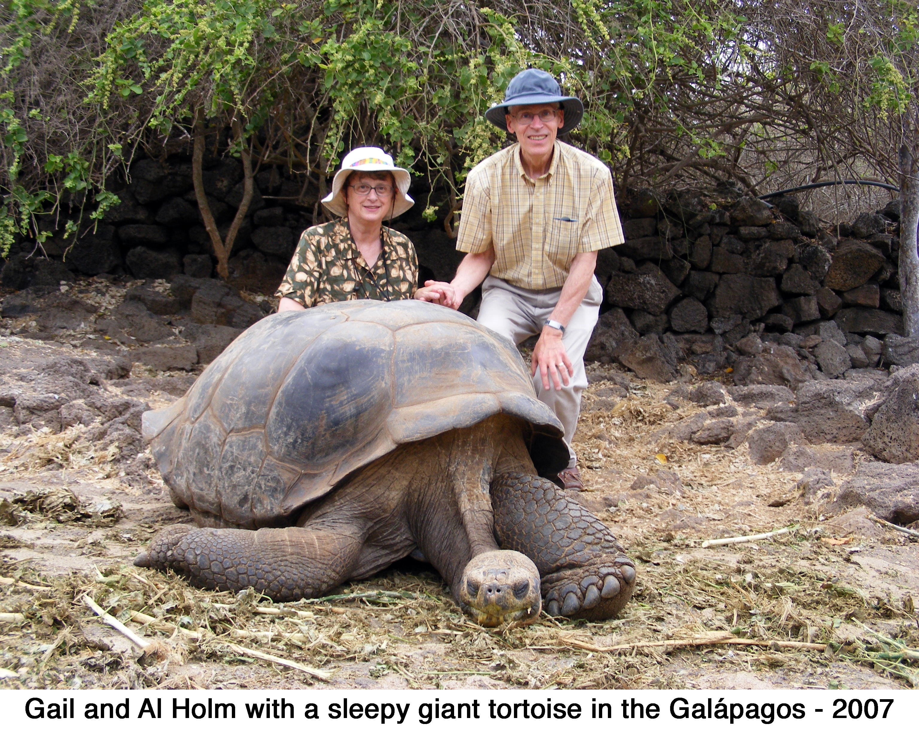 Gail and Albert Holm with a tortoise 