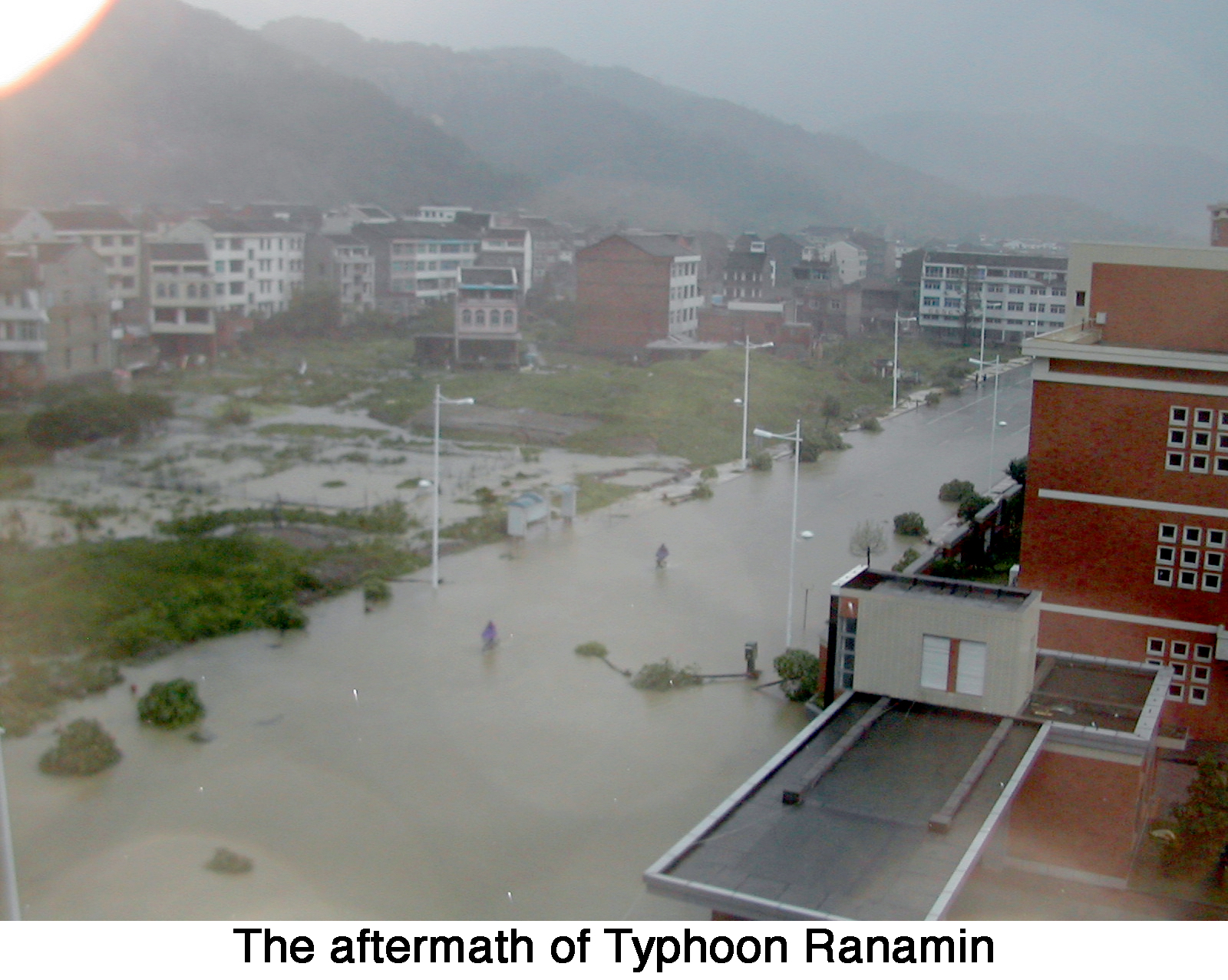 Looking down from a high building onto a flooded street with trees blown over