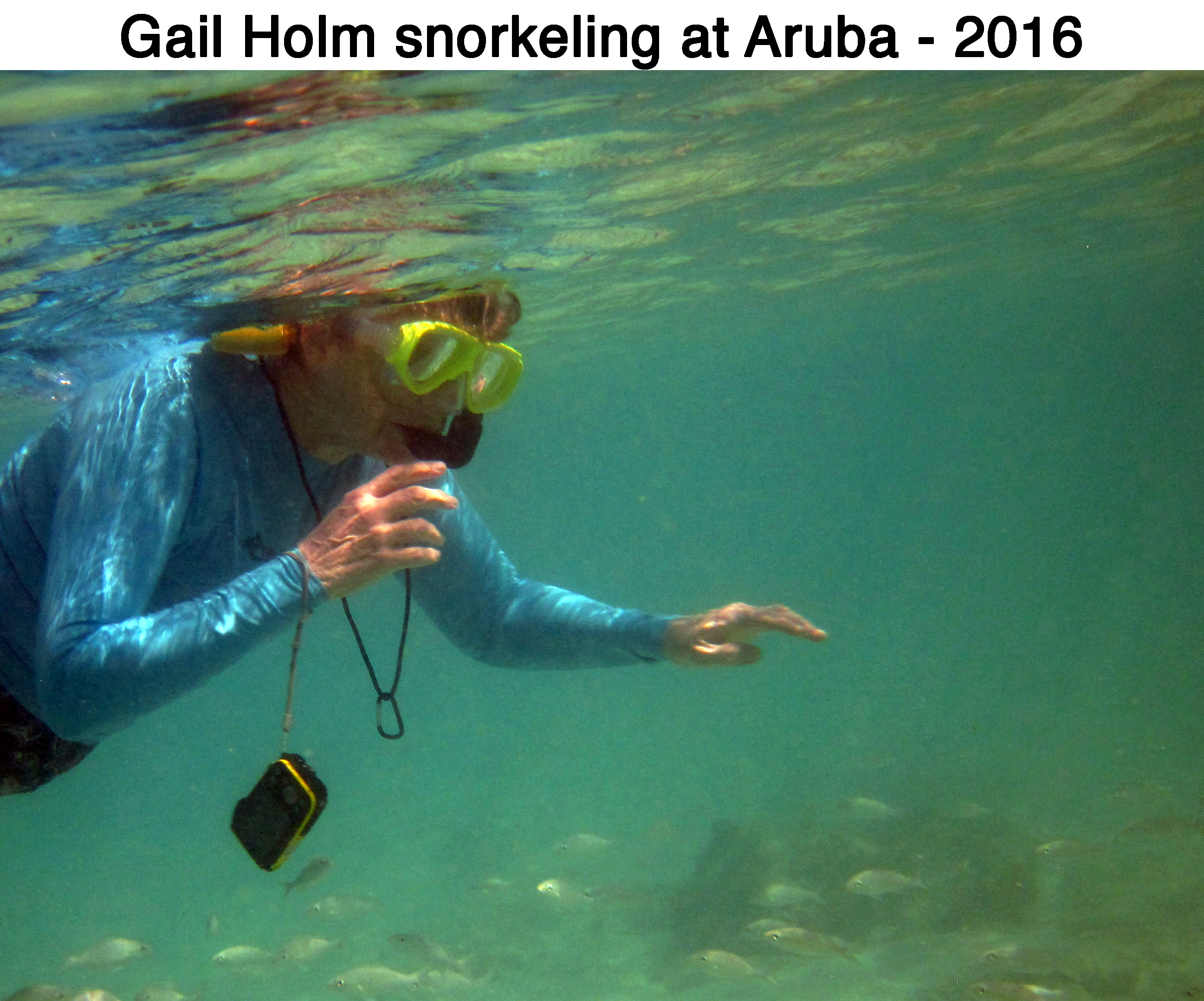 Gail Holm snorkeling off the beach in Aruba