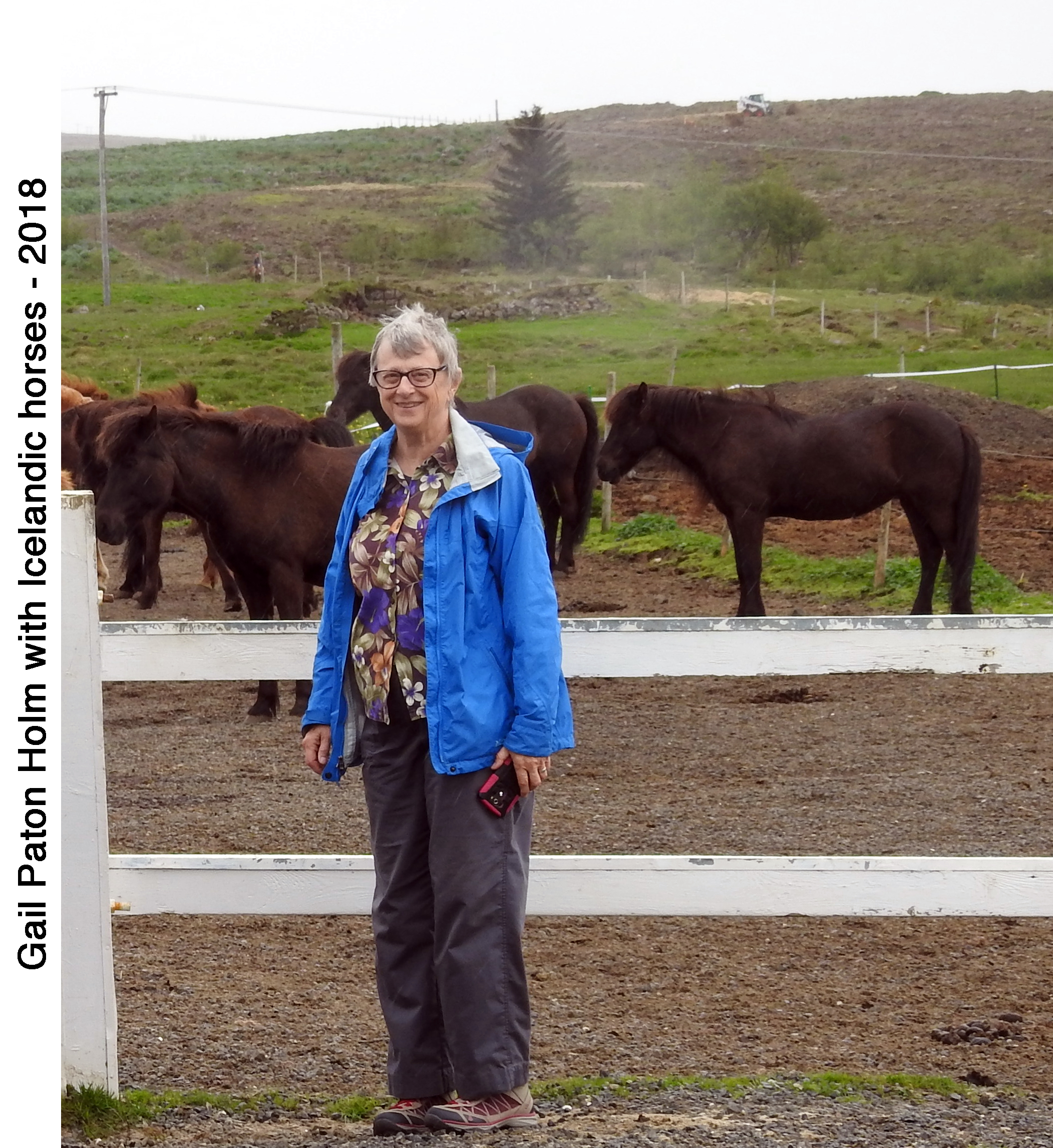 Gail Holm standing by Icelandic horses