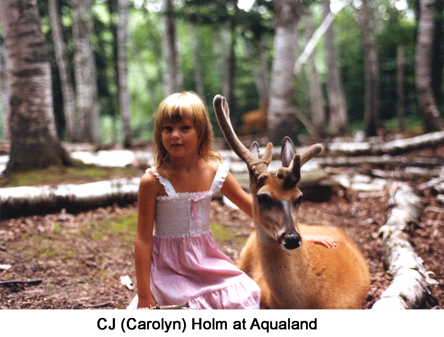 Carolyn Holm petting a deer at Aqualand