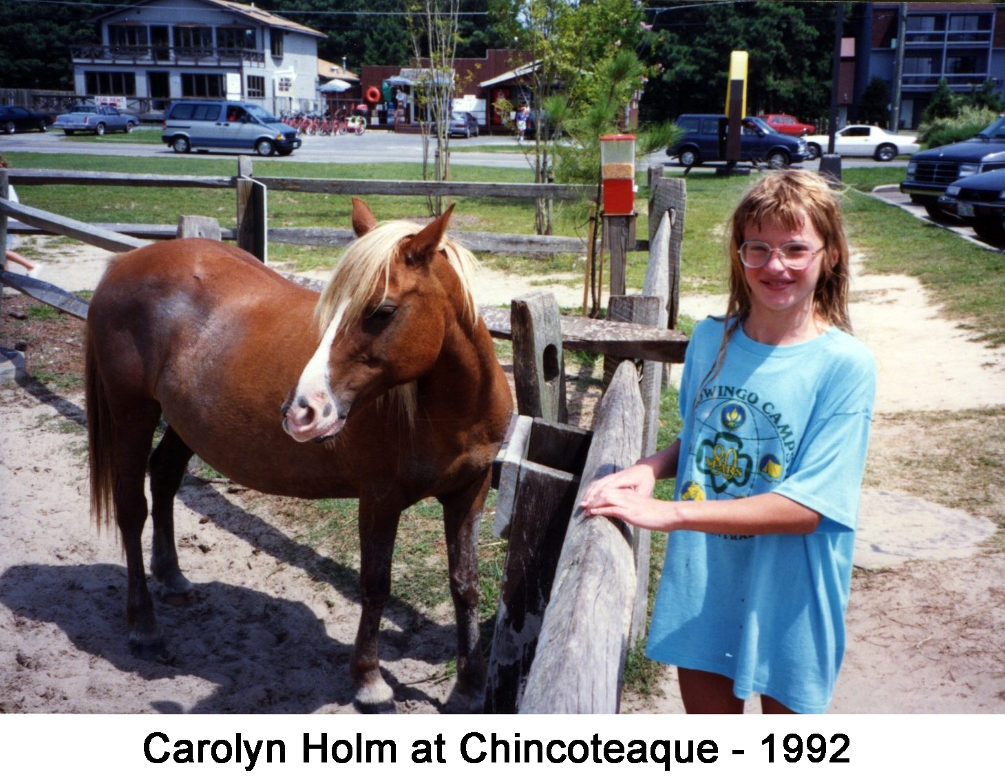 Carolyn Holm standing by a fence with a pony on the other side