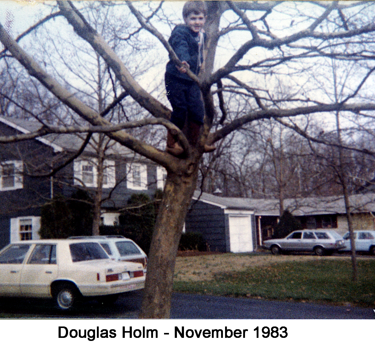 Douglas is standing on the lower branches of the leafless tree.