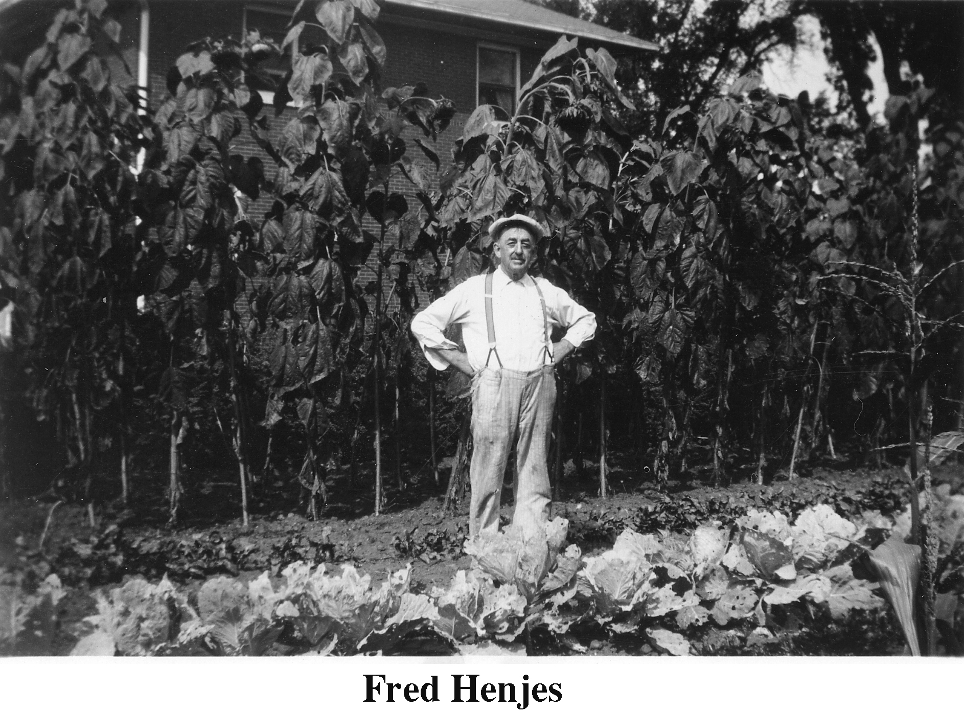 Fred Henjes in his garden