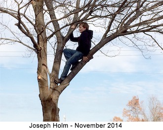 Joey Holm is perched in a leafless tree