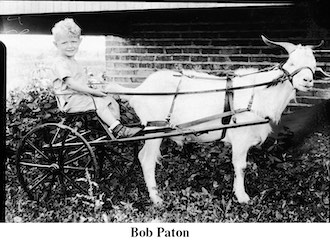 Young Bob Paton riding in a goat cart