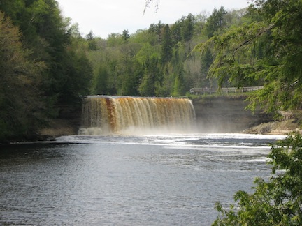 The falls is viewed 
             from the gorge below. The root-beer colored water
             plunges into the river below and creates white foam.
             The photo is framed by trees.